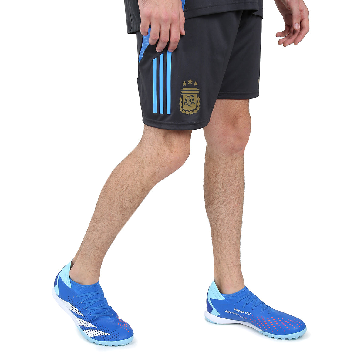 Short Fútbol adidas Argentina Tiro 24 Hombre