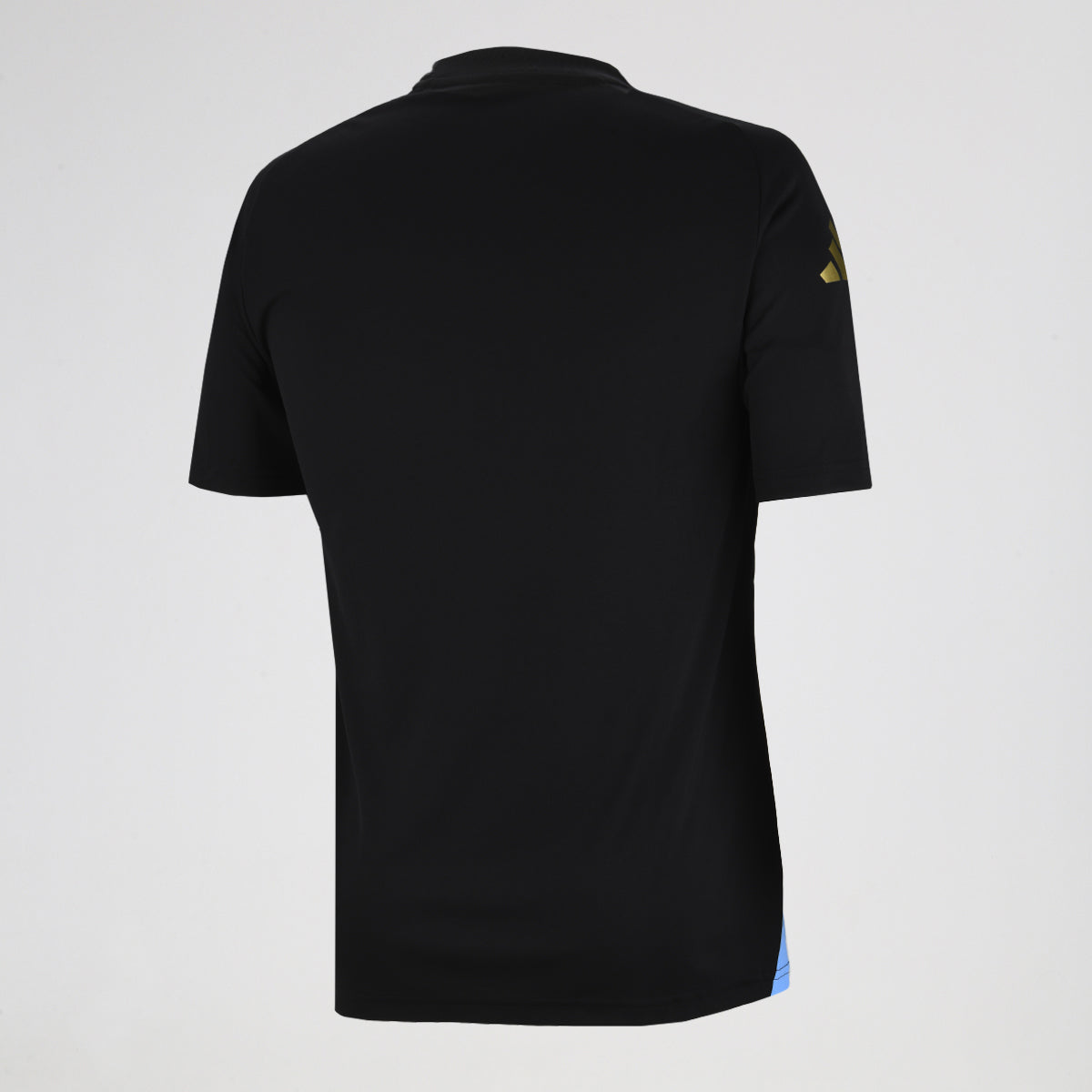 Camiseta Argentina adidas Pre-partido 2024 Hombre
