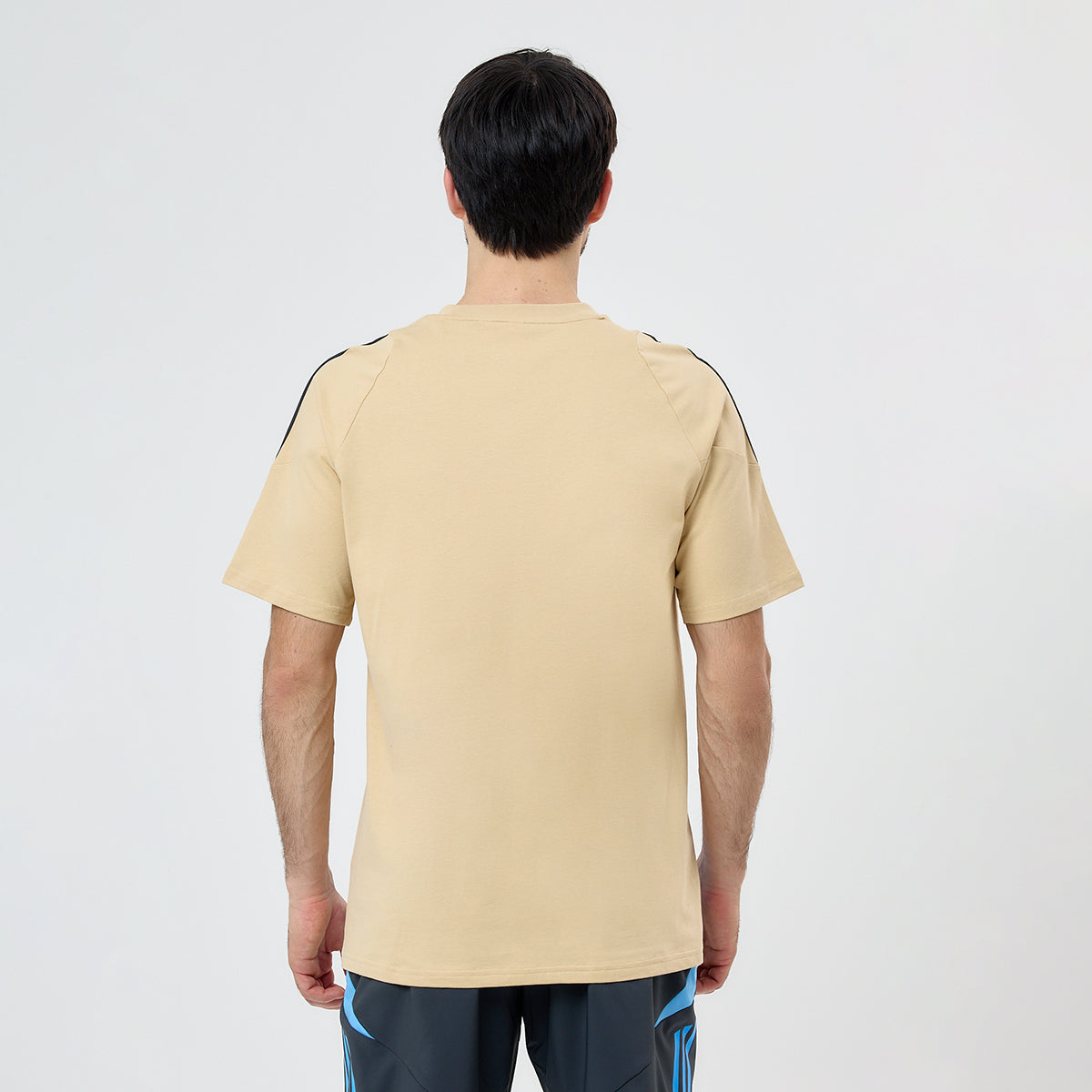 Camiseta Fútbol adidas Argentina Entrenamiento 2024 Hombre