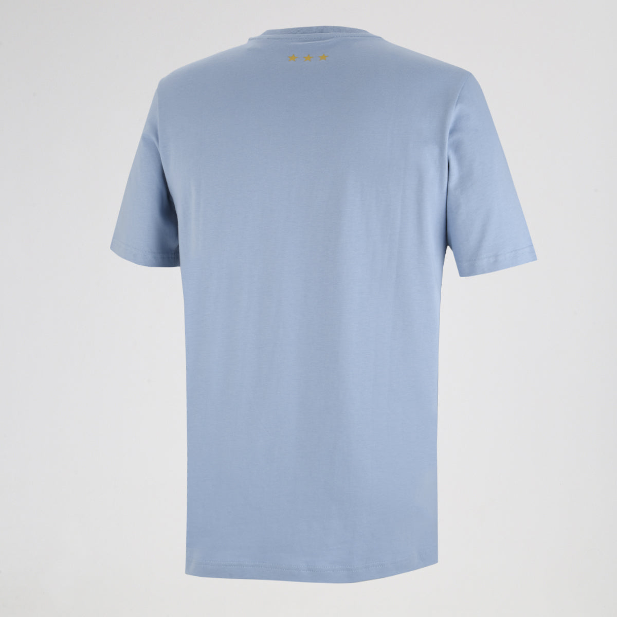 Remera adidas Argentina Aniversario 24/25 Hombre
